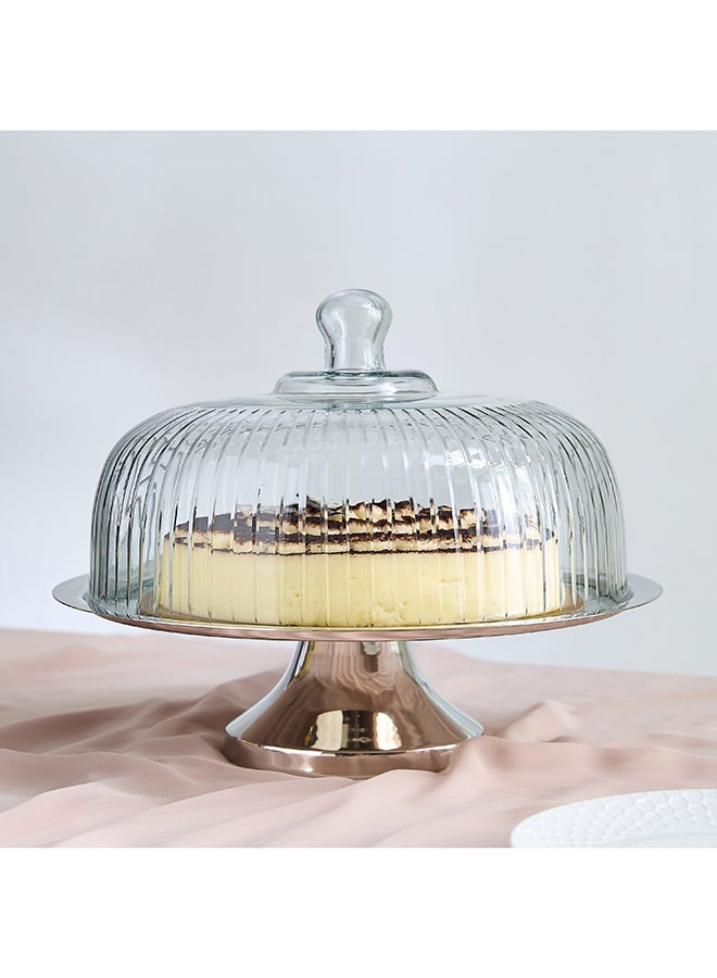 Home Box Glass Cake Stand with Dome - Image 1